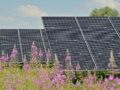 Solceller og effektivitet: Hvordan du får mest ud af dine solpaneler